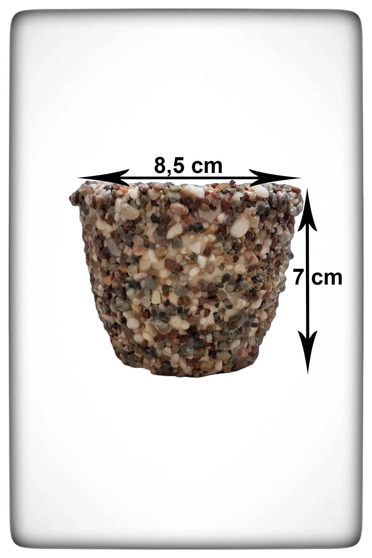 Beton Üzeri Minik Çakıllı Kaktüs Sukulent Saksısı Vazo Biblo 8,5cm X 7cm