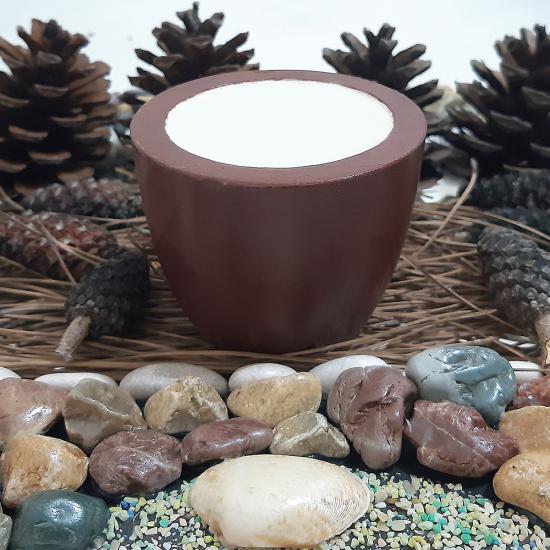 Aynı Gün Kargo! Kahverengi Kaktüs Saksı Beton Saksı Sukulent Saksı